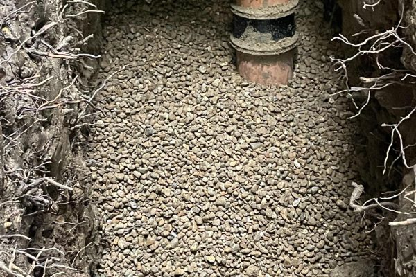 7ded769c-d36d-4de2-9186-bc46e78d6386