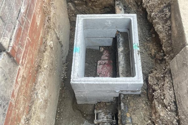 955761d9-2887-40e9-b031-bedaed73fd99