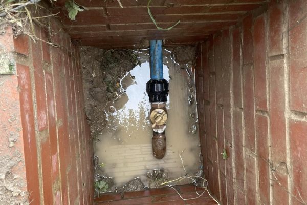 b042b493-9da7-4ec7-9cc1-b6f9e5e7fd8e