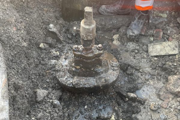 d4d5cbc9-e293-45ec-93dd-d0a68ccc5ade