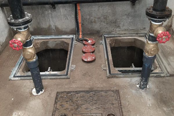 e570d28e-f500-49fd-8a48-e8aa8ac29101